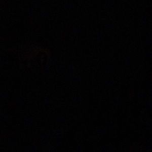 Meet your Posher, Gretchen